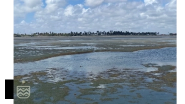 Da rede à mesa - Saberes da comunidade da Praia da Placa